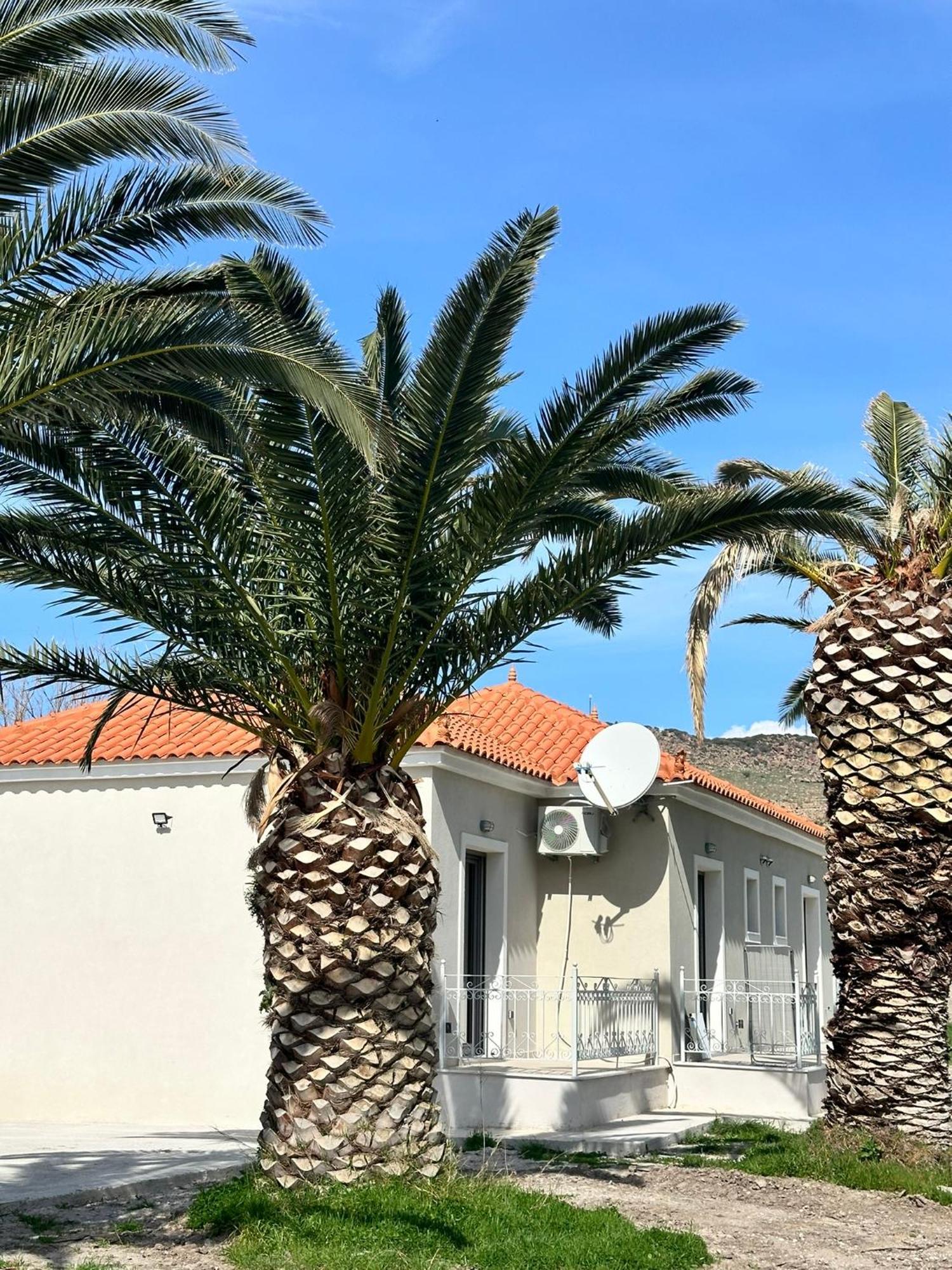Ktimavita Apartment 1 بترا المظهر الخارجي الصورة